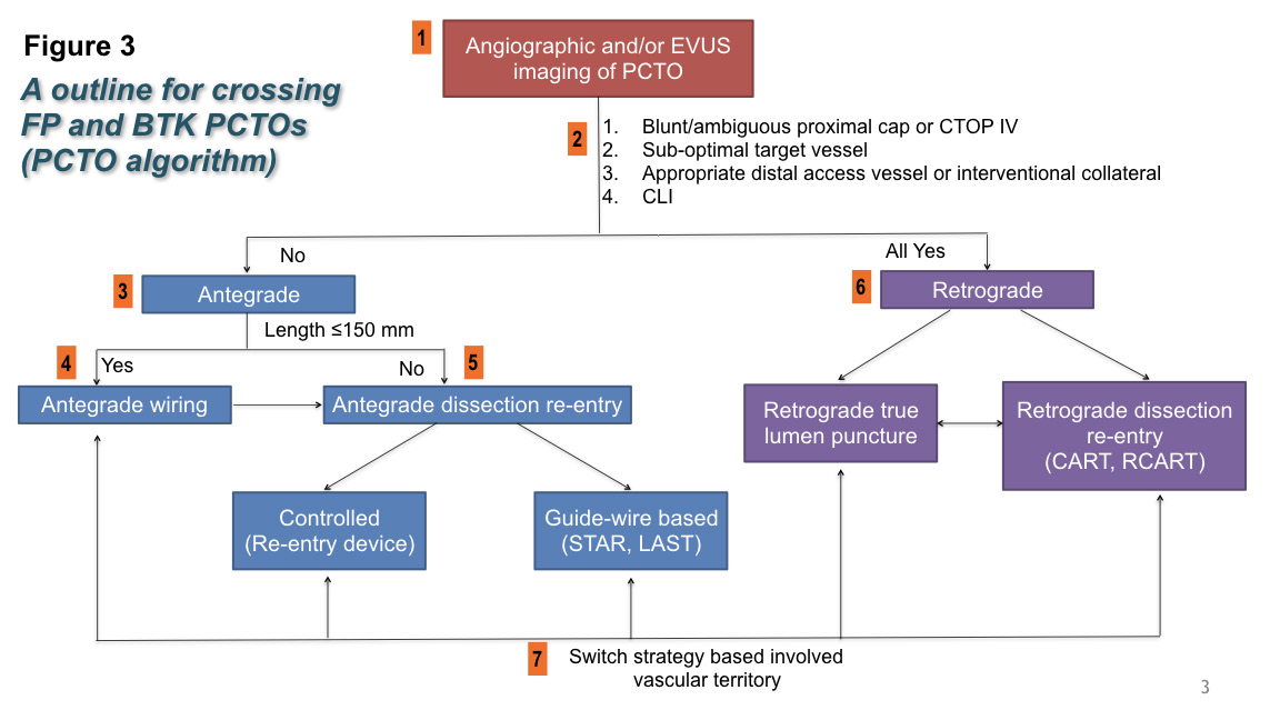 健康・医学 Occlusion A Percutaneous Crossing Algorithm for Femoropopliteal and